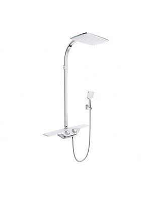 Dual Shower Systeme