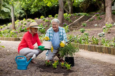 Outdoor Actvities For Seniors - Canyon Winds Retirement