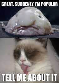 Blobfish