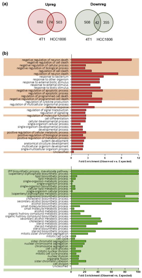 Gene Expression Profiling And Gene Ontology Go Biological Processes Download Scientific