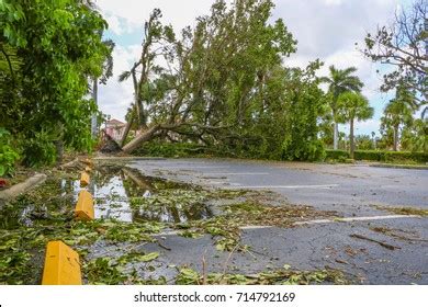 Hurricane Irma Damage Stock Photo 714792169 | Shutterstock