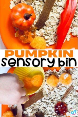 Pumpkin Sensory Bin The OT Toolbox