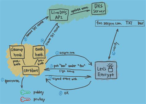 Let S Encrypt Certificates Setup With Dns Validation Using Acme Dns