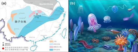 【新华网】西北大学科研团队发现古老细菌化石 中国科学院地质与地球物理研究所