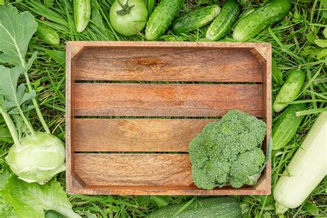 Houten Doos En Groene Groenten Op Gras Het Gezonde Het Eten Concept