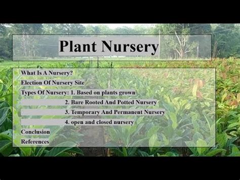 Plant Nursery Types Of Nursery Conclusion Youtube