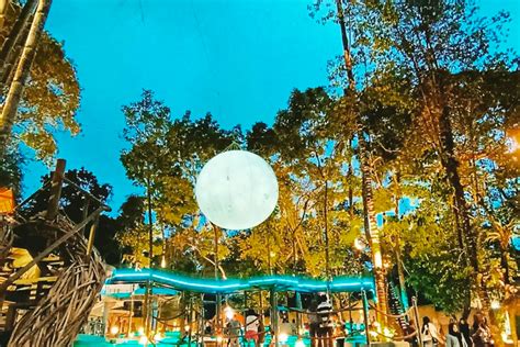 Heha Forest Wisata Baru Di Sleman Jogja Yang Lagi Viral Benarkah