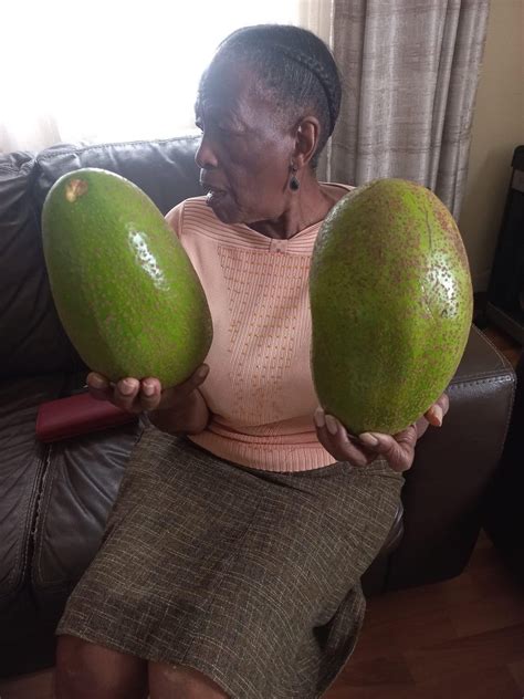 Leesah Zimbo On Twitter Huge Avocados Beenubian