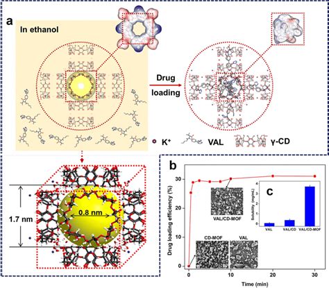 Schematic Illustration Of Cd Mof Loading Val Based On Molecular Docking Download Scientific