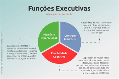 A História Das Funções Executivas Que Você Não Conhecia