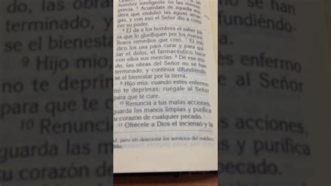 Descubre el poder curativo de las plantas según la Biblia Evangélico