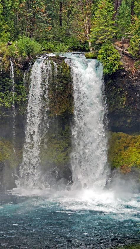 McKenzie River Waterfalls Hike - Pacific Northwest Explorer