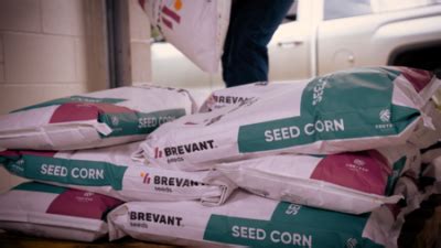 Corteva To Release New Brevant Brand Corn Hybrids Precision