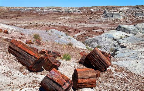 Petrified Forest National Park