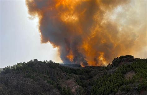 El Incendio De Tejeda Evoluciona Positivamente Y No Se Considera