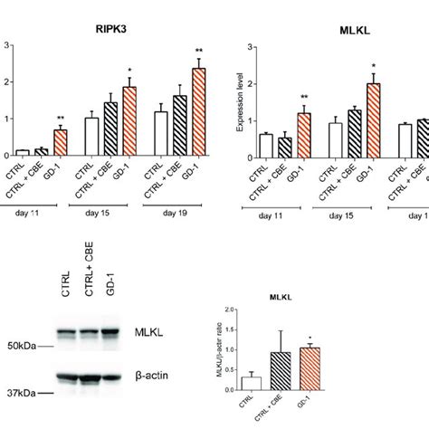 Ripk And Mlkl Are Upregulated In Gd Ipsc Derived Monocyte Macrophages