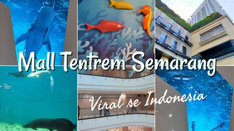 3 Mall Semarang Yang Ada Aquarium Menjelajahi Keindahan Laut