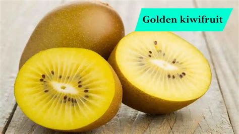 Golden Kiwi Benefits And Easy Plant Care Floristnear