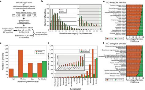 The Yeast Interactome Encompasses A Large Proportion Of The Predicted