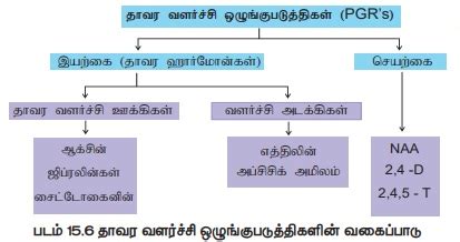 அபசசக அமலம Abscisic Acid ABA இறககநலத தவர ஹரமன