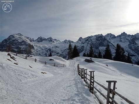 Escursione A Malga Maraia Dal Lago Di Misurina Casamontagna