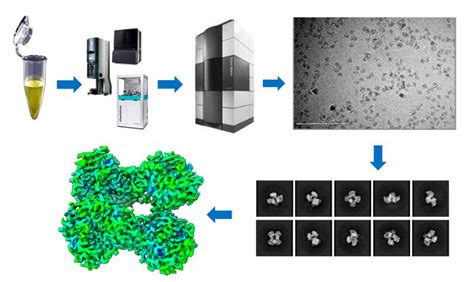 Cryo Em Incites A “resolution Revolution” Rousing Drug Discovery