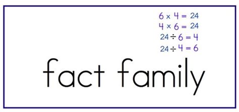 Functions Flashcards Quizlet