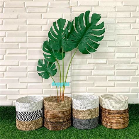 Jual Pohon Daun Monstera X Latex Artificial Akar Cover Pot Seagrass