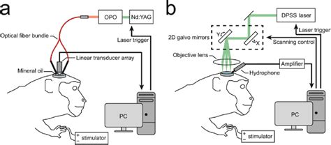 Schematic Diagrams Of The Photoacoustic Imaging Pai System For