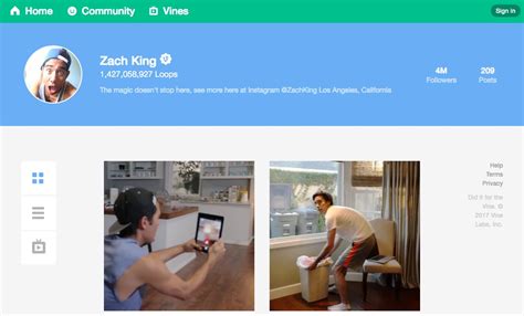 How does zach king magic vines work - pigguide