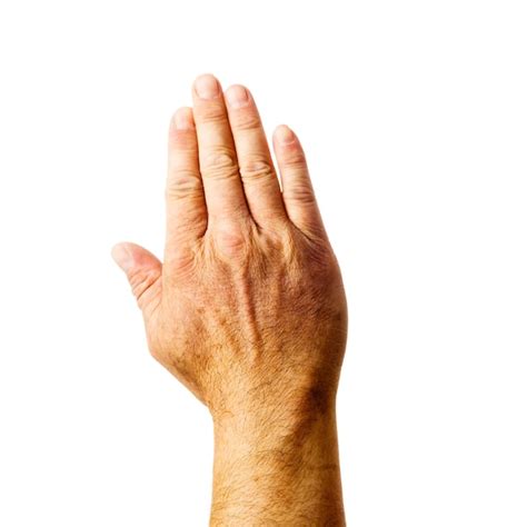 Premium Photo Cropped Hand Gesturing Against White Background