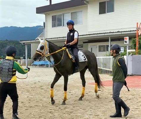 【スパーキングレディーc】エナハツホが小崎綾也騎手を背に追い切り「ちょうどいい調整ができました」 競馬ニュース Netkeiba