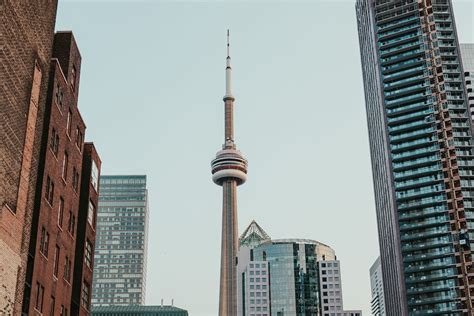 The CN Tower in Downtown Toronto · Free Stock Photo