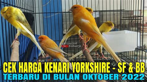 Harga Burung Kenari