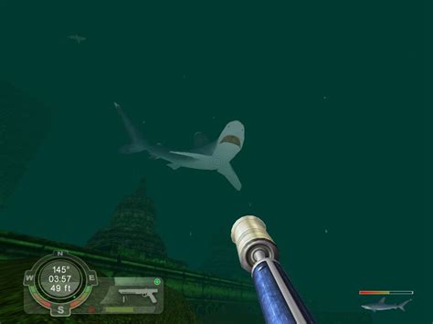 Shark Hunting The Great White Screenshots For Windows Mobygames