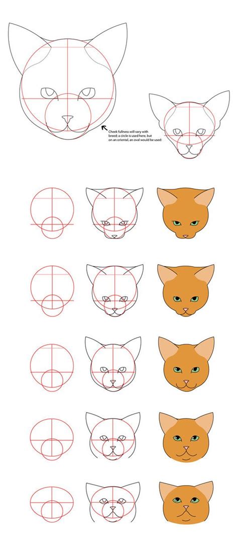 Cat Tutorial - Face - Animal Art Tutorial | Cat drawing tutorial, Cat ...