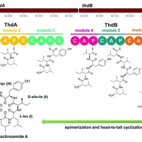 Advanced Marfey S Analysis Of Compound Using A C Reversed Phase