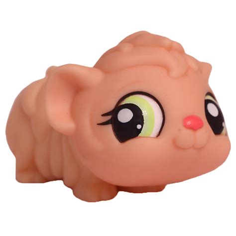 Guinea Pig 1540 Littlest Pet Shop Collectors Wiki Fandom