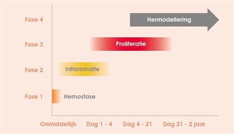 De Vier Fasen Van Het Wondgenezingsproces Van Heek Medical