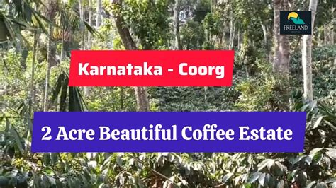 Acre Beautiful Coffee Estate For Sale Coorg Madikeri Karnataka