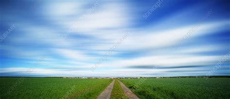 Rural landscape - Stock Image - F037/3014 - Science Photo Library