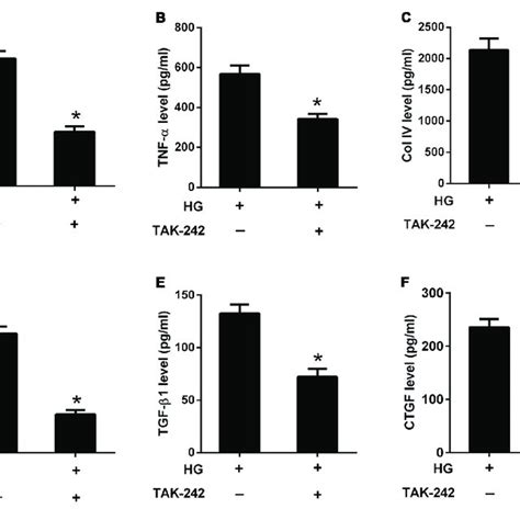 Inhibition Of The Tlr Myd Nf B Pathway Suppressed Hg Induced