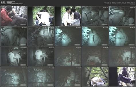 Voyeur Sex In Public Places Voyeurpapa