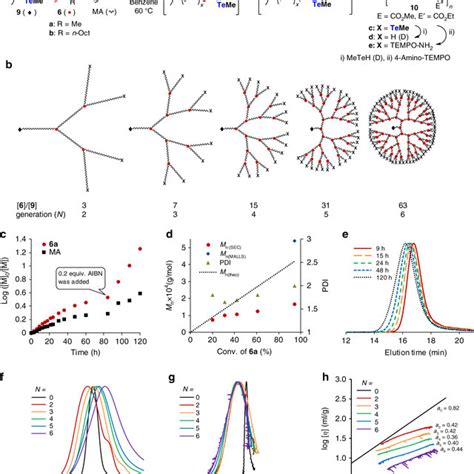 Synthesis And Characterization Of Dendritic Hyperbranched Polymers