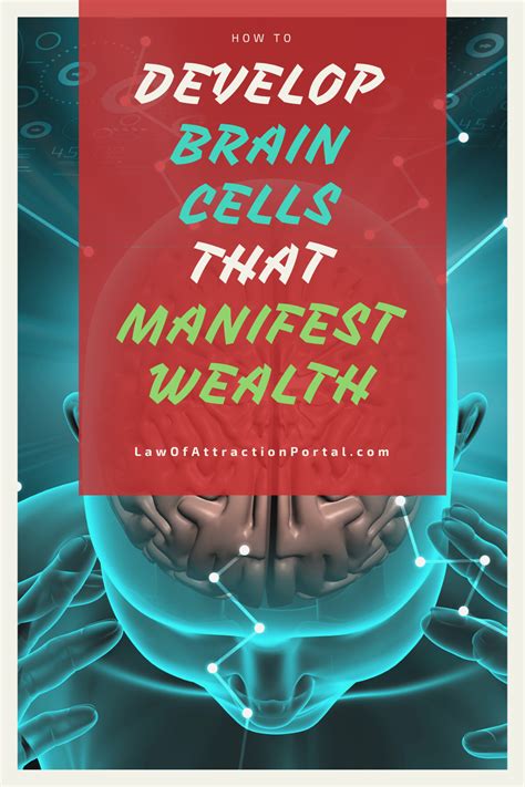 Develop New Brain Cells That Manifest Wealth Law Of Attraction Money