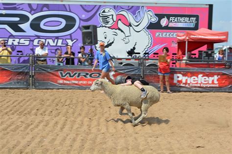 Arapahoe County Fair Blog Posts