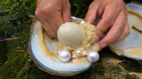 The Beauty Was Surprised To Find Pearls Shells Hide Pearls And Eggs