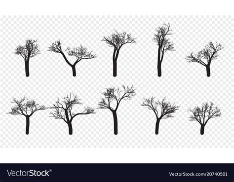 Naked Trees Silhouettes Set Hand Drawn Isolated Vector Image