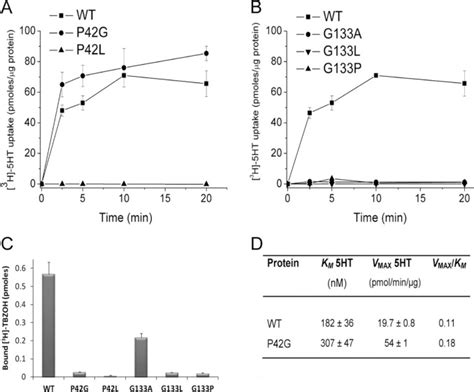 Identification Of Conformationally Sensitive Residues Essential For