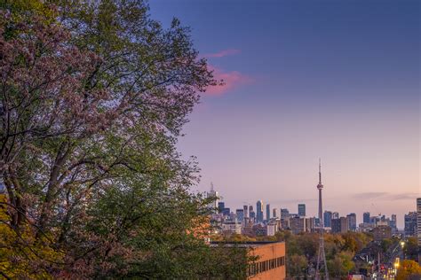 Photo of the Day: View From the Baldwin Steps | UrbanToronto